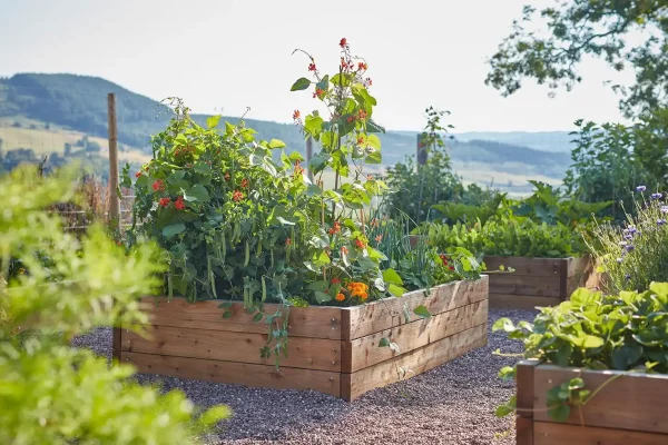 Ballintaggart Kitchen Garden Ballintaggart Kitchen Garden